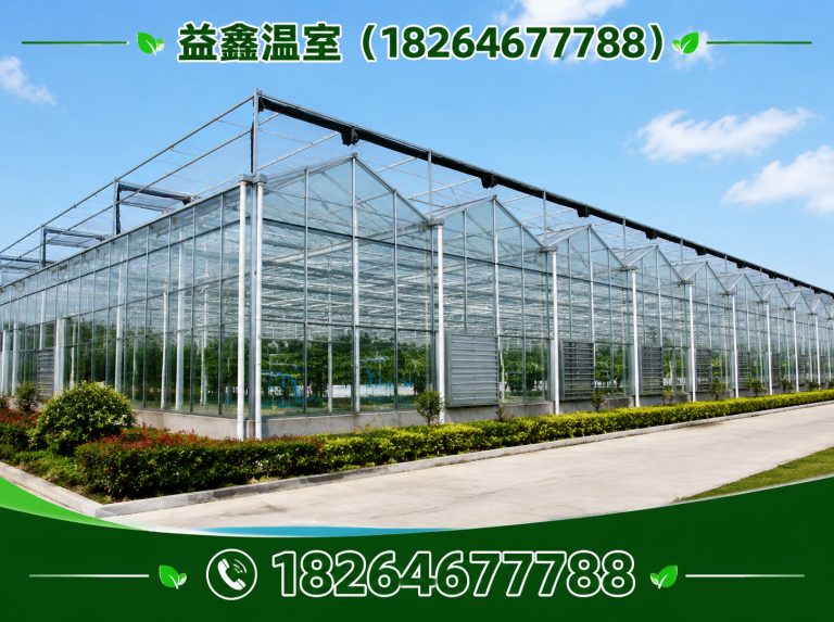 青州市连栋温室展示图
