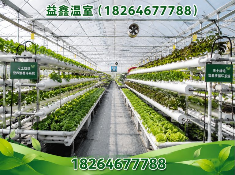 青州市温室材料展示图